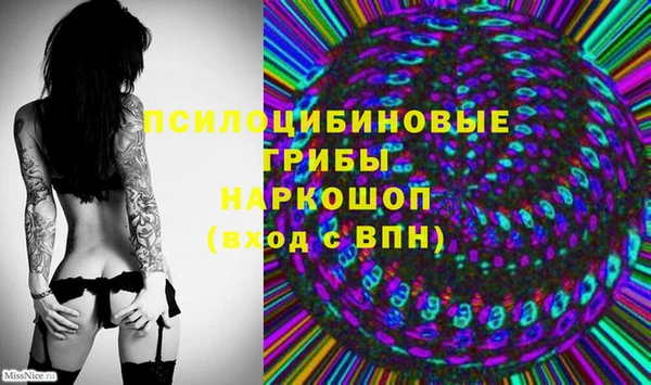 соль ск Липки