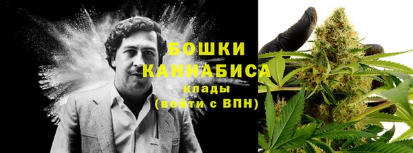 меф Ладушкин