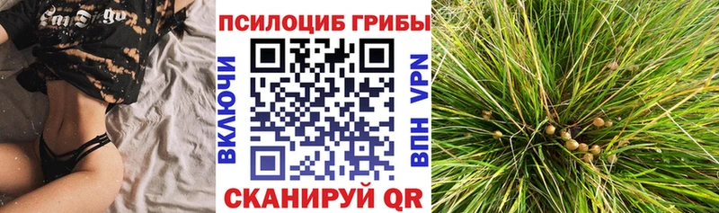 Галлюциногенные грибы GOLDEN TEACHER  кракен как зайти  Михайловка 